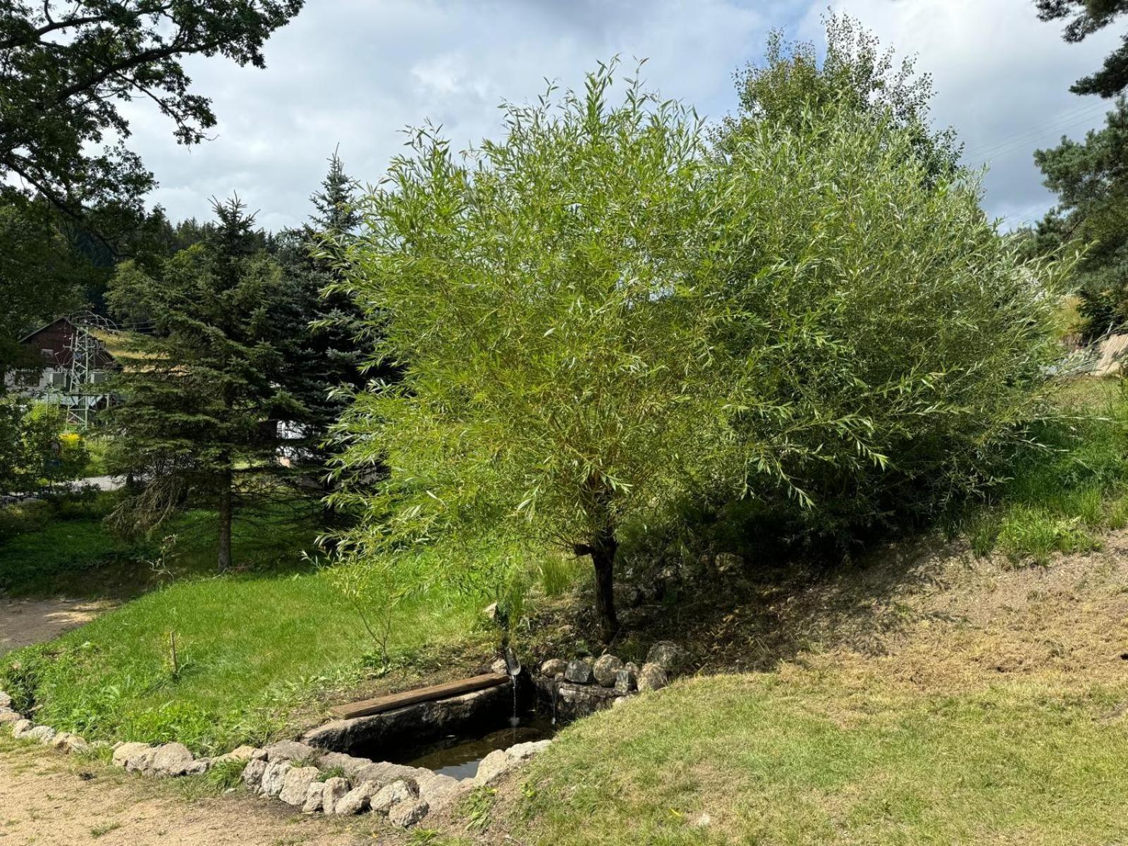 Antoniwald82 Josefuv Dul Villa Kültér fotó